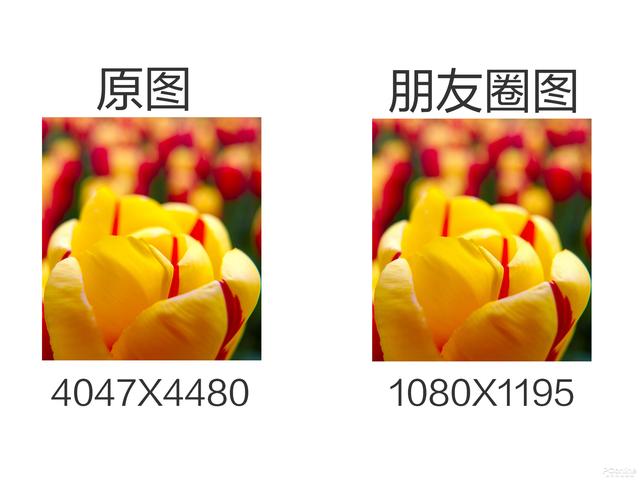 [勇哥科技]朋友圈只能发渣照片？教你简单套路轻松变高清图