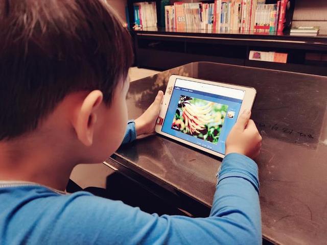 佛手|当孩子遇到佛手，会一场怎样的深秋邂逅？既是非同寻常的中医体验，更是传承着中华文化