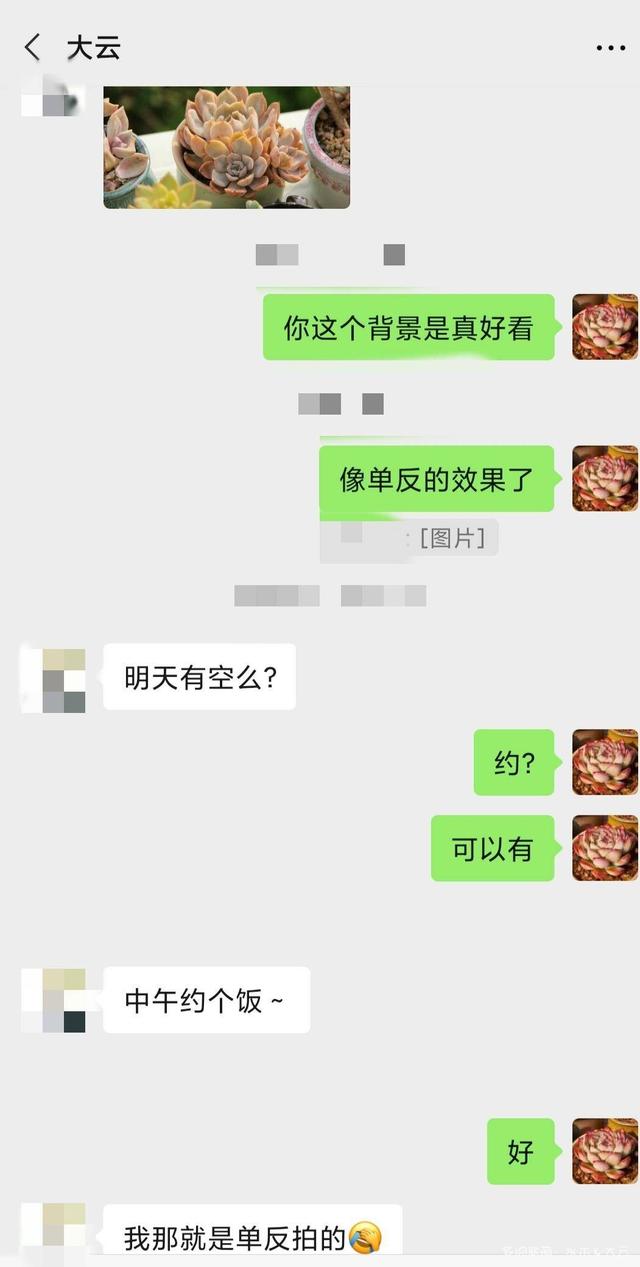 有朋自远方来，拔叶子乎
