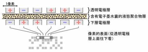 打卡百天成功白嫖kindle的我，却不建议你入坑