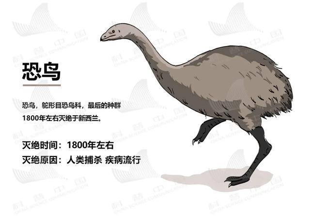 新华网客户端:今天的头条,只想留给TA们……