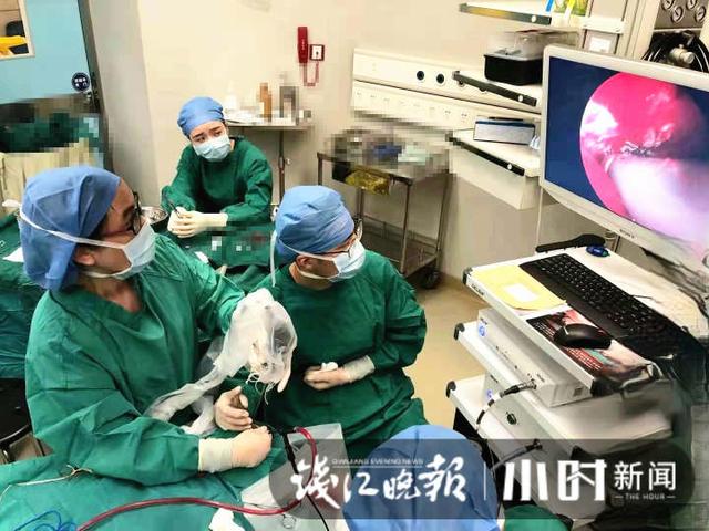 儿童|案例扎心，还有被狗咬的 暑假来临，注意预防孩子眼睛受伤