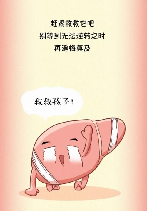 肝脏|肝脏受伤全过程