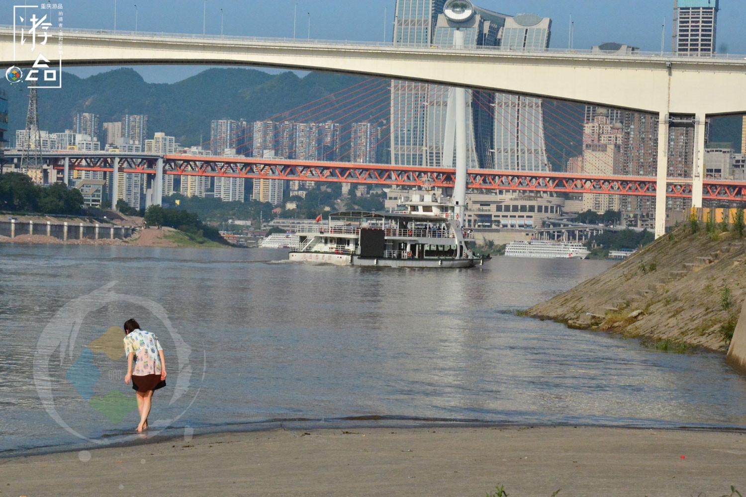 大溪沟|“漂在”重庆码头边的花市：位置偏僻环境差，但价格应是主城最低的