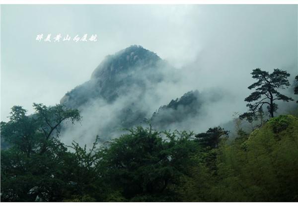 在路上▲天下第一奇山,风景优美奇松怪石,游客慕名而来