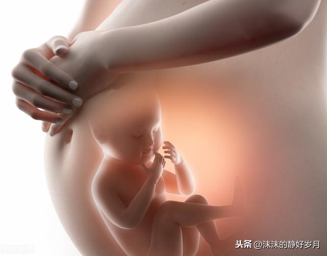 思念淡如水|孕妈妈常摸肚子，会导致胎宝宝脐绕颈？还是听听专家的解释吧