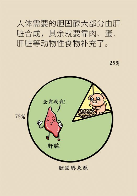 供稿|鸡蛋、鹅蛋、鸭蛋哪种营养价值更高？医生告诉你答案