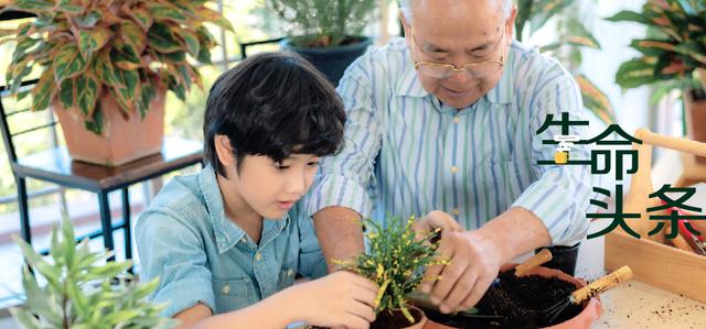 衰老加速不能逞强、失去增多心态要好，七八十岁是关键十年