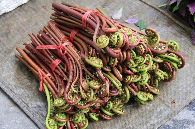 内酰胺|吃这 4 种蔬菜要当心！蕨菜、鱼腥草竟然榜上有名