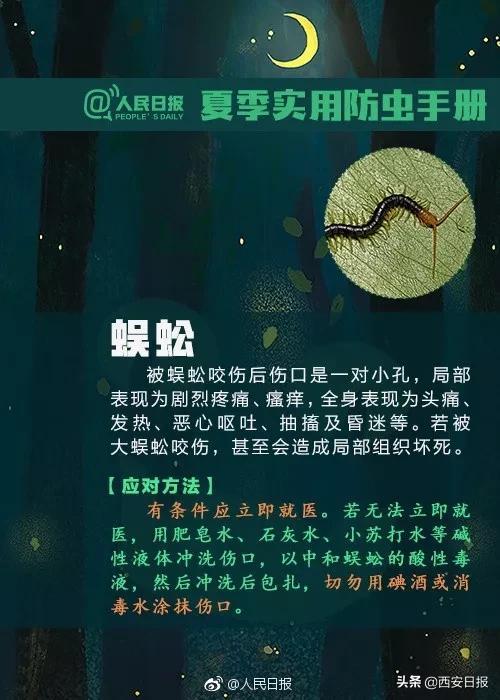 叮咬|清明出游后腿上多了几个红斑，医生紧急提醒：千万小心它，可致命