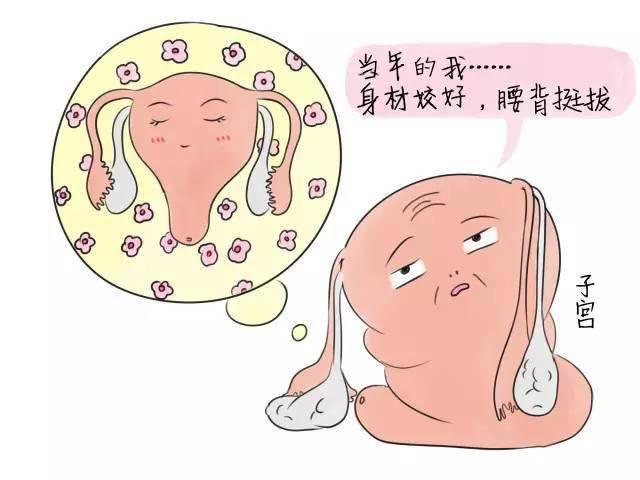 『你的育儿经』产后肚子还是圆鼓鼓的怎么办？