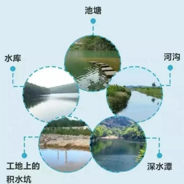 「你的育儿经」【安全知识】珍爱生命,预防溺水——城东幼儿园防溺水安全教育