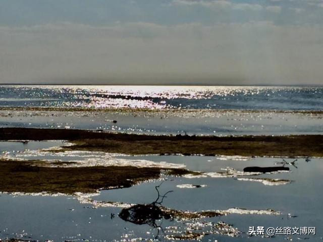 居延海之秋