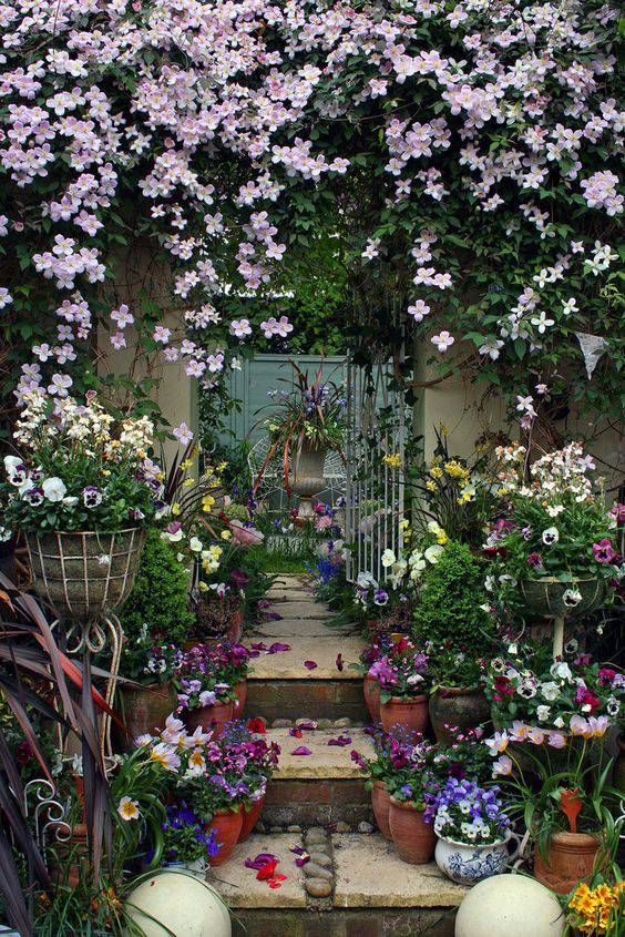 I Have a Small Courtyard, Spring Blossoms