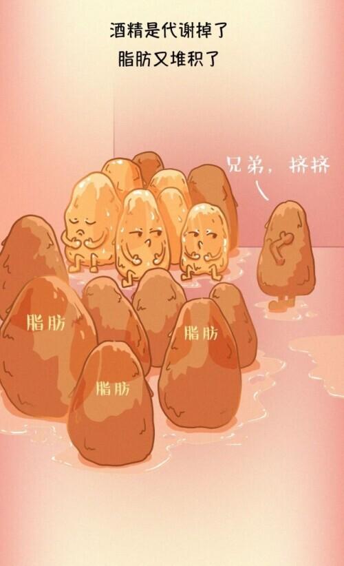 肝脏|肝脏受伤全过程