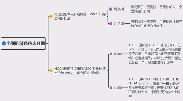 用5张图，带你了解2020年小细胞肺癌最新治疗方式