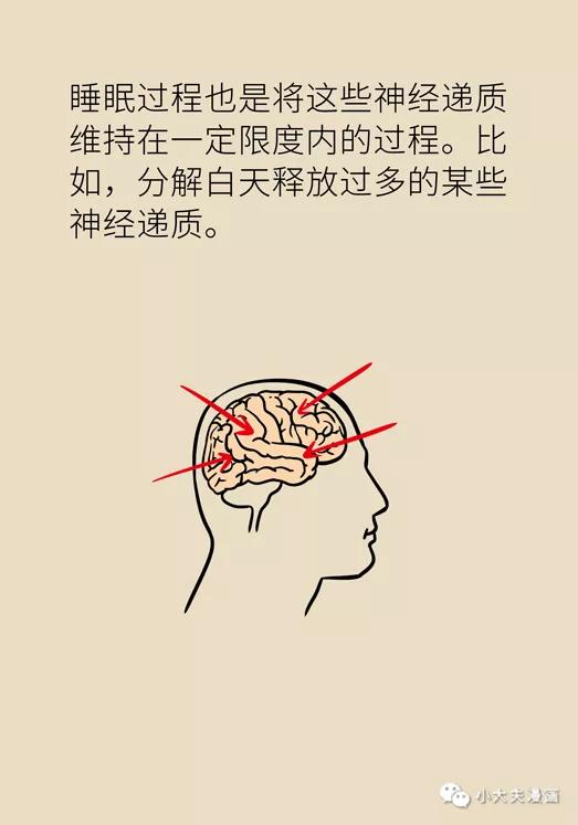 明白|警惕！经常做这8种梦，可能是身体发出的求救信号