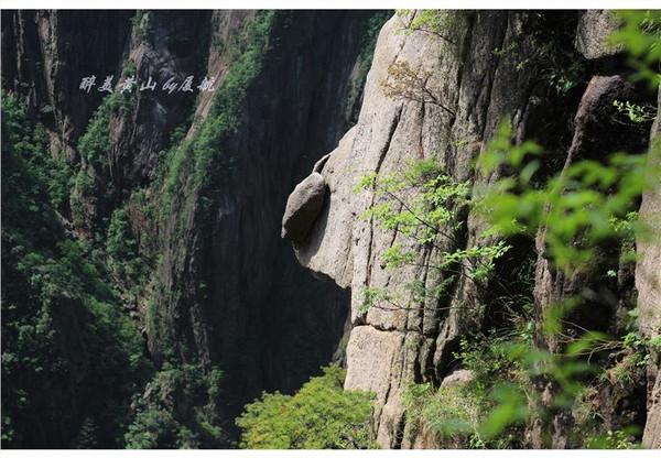 在路上▲天下第一奇山,风景优美奇松怪石,游客慕名而来