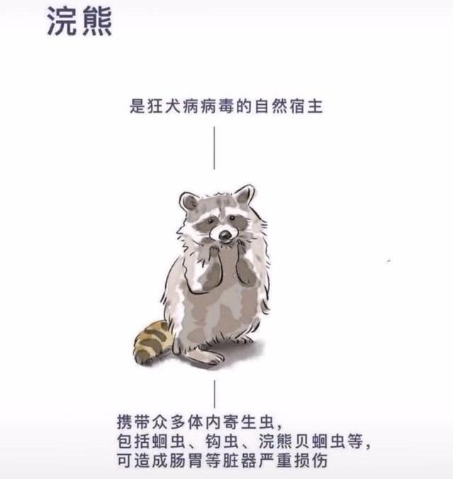 你的育儿经@理性一点，如何教育孩子正确认识小动物
