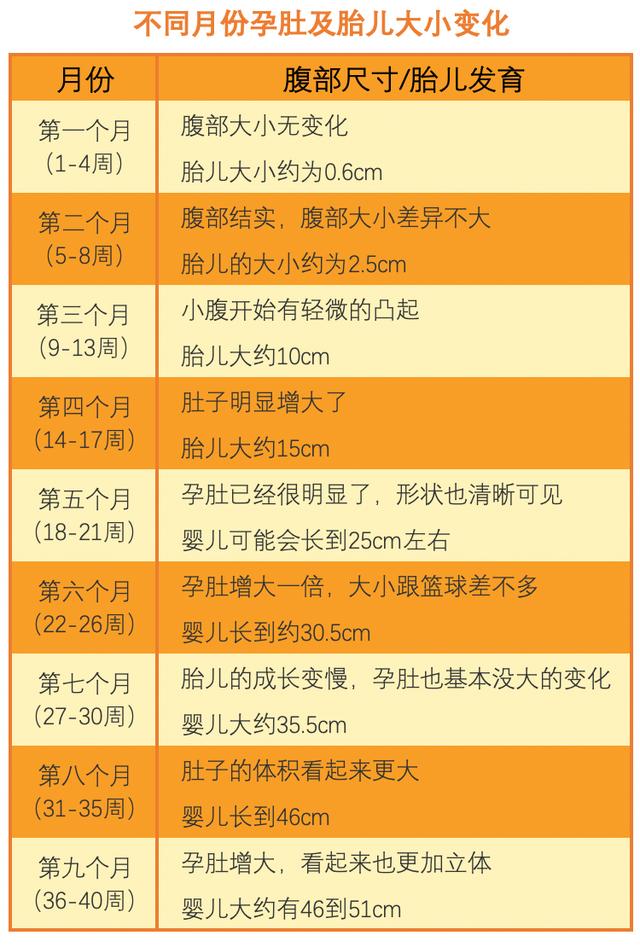 「超级宝妈」“悬浮肚”十产九剖，上怀下怀说法多…对照下你的孕肚是哪种？