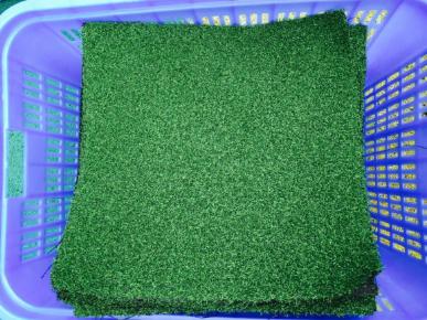 你的育儿经|当建构区搬到了户外,孩子能搭出一整个世界