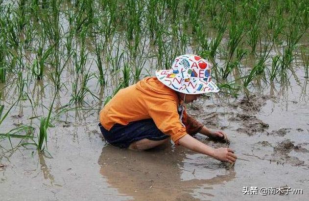 你的育儿经▲为什么在泥土中摸爬滚打中长大的农村小孩，很少生病？看专家咋说