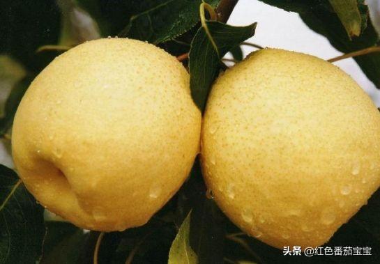 『你的育儿经』孕妈有哪些水果少吃呢,你都了解吗