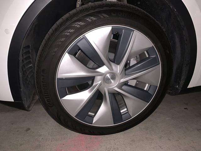 【环球网】特斯拉Model Y白色座椅版现身洛杉矶某地下车库