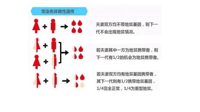 地中海贫血|你知道地中海贫血吗？