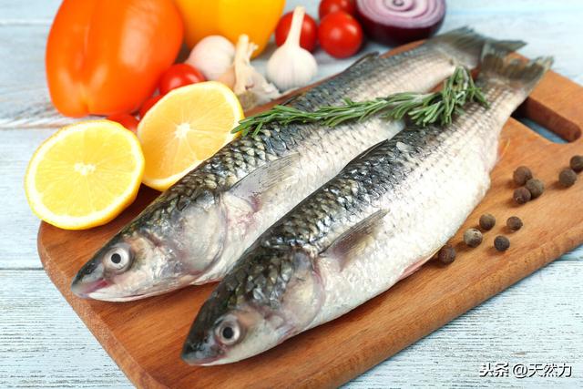 什么鱼刺少好吃，为什么鱼会那么多刺，什么鱼的刺少