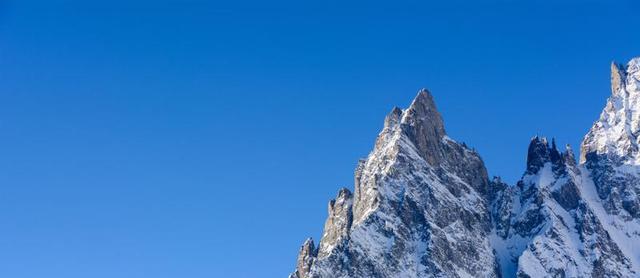 细致入微！微距镜头捕捉花草别样美