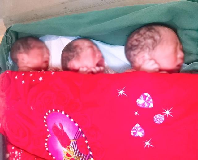 全国党媒信息公共平台■松原85后妈妈自然受孕生下三胞胎男婴 这也是长春市妇产医院今年首个“吉祥三宝”