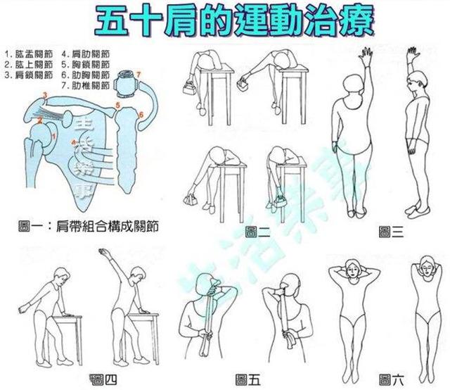 肩周炎|五十肩、肩周炎、冻结肩：还有很多，你不知道的事...