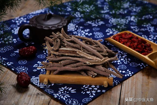 张廷模中药学讲稿 40 祛风湿强筋骨药：五加皮 桑寄生 狗脊