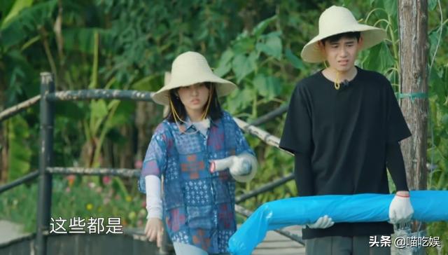 橘子味的猫|胡先煦问哪有西瓜苗?摄像师赶紧补了一个镜头特写,不是糊弄人吗