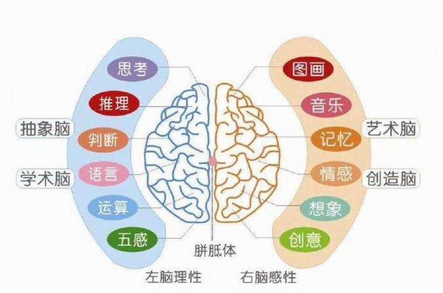 「超级宝妈」记忆力是儿童智力发展的基础，专家剖析：提高记忆力的方法很简单