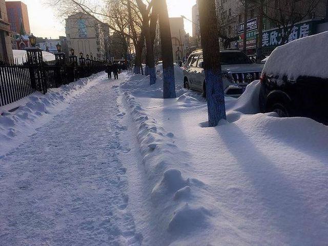 这一生我只做了两件事：吻了一下雪，或者把雪抱在了怀里