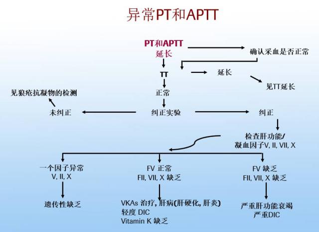 创新技术赋能精准实践：全自动凝血检测满足出血与血栓性疾病诊疗更高要求