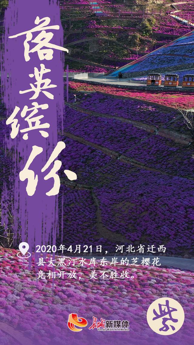 海报派丨走过四季，这是2020河北最美色彩