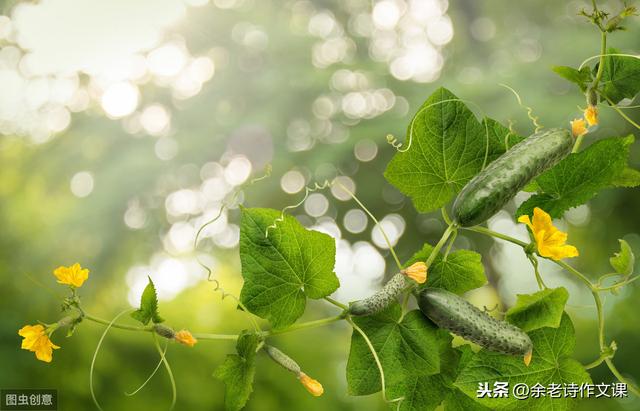 【超级宝妈】孩子写作文，怎么写好世间事物？《乡下人家》给出5点重要启发