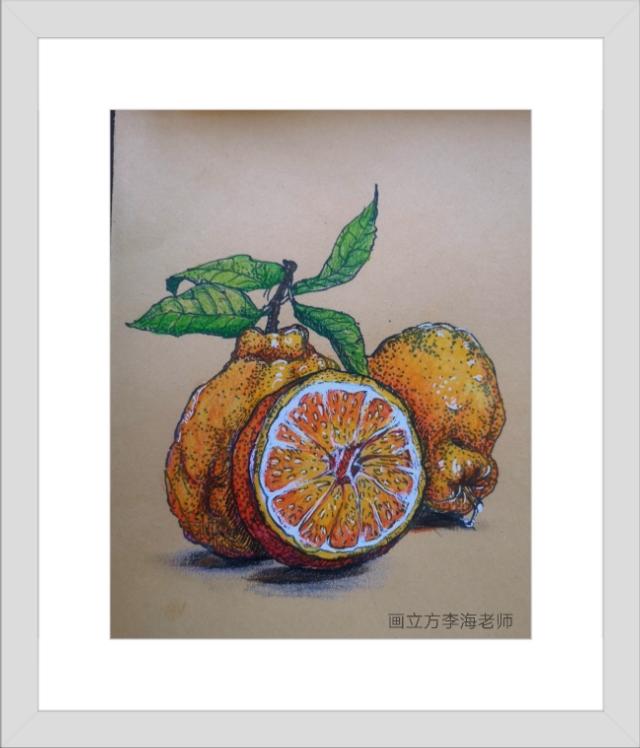 你的育儿经■少儿美术教育停课不停学||亲子绘画水果线描写生零基础教程