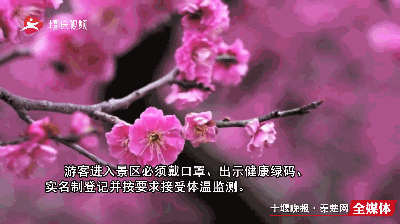 趣旅游@【十堰】十堰首家!这个景区今天复工!