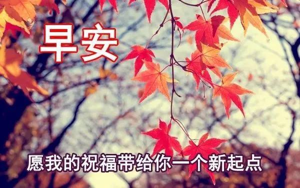 路是自己选的，要慎重点儿；事是自己做的，要认真点儿。早安