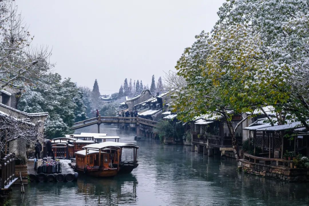 小雪|今日小雪，曼舞盼君来