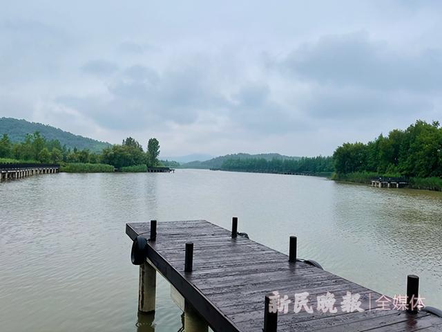 总磷从劣Ⅴ到Ⅱ类,天目湖沙河水库上下游是怎么携手治水的?