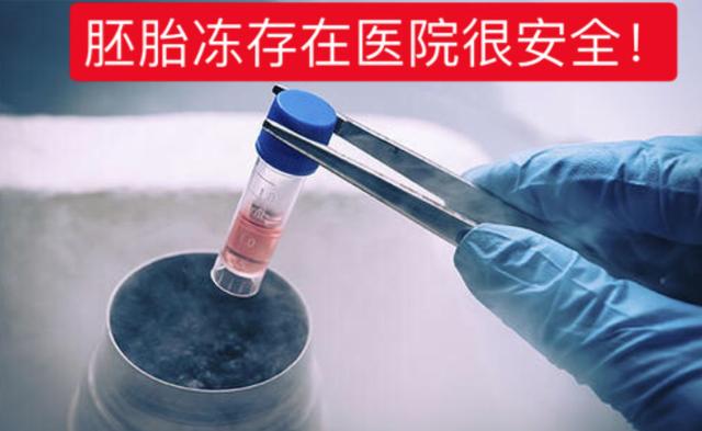 你的育儿经■做了试管婴儿，冷冻的胚胎怎么处理最划算？