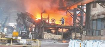 宁德蕉城区台企生产忙