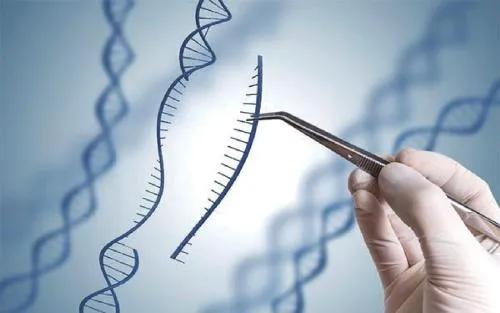 快乐向前冲|内膜越来越薄？元凶都在这里了！（二）