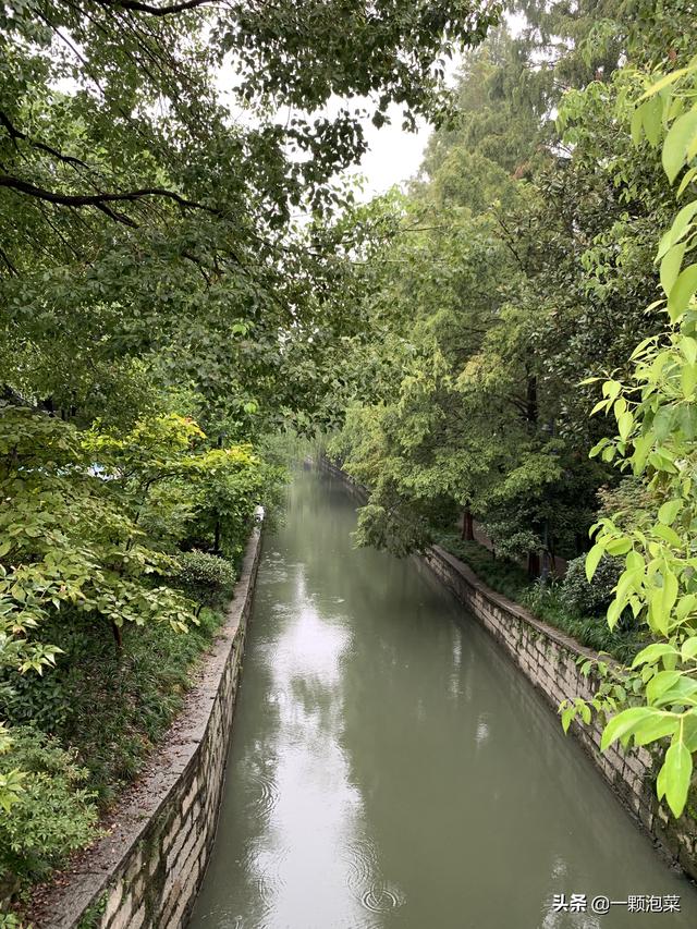 [玩乐足迹]这里曾是南宋的御花园，现在走进这里仿佛回到民国