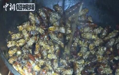 料理|真·黑暗料理！酷似“煤块”的炸鸡翅你敢吃吗？